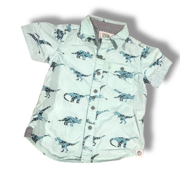 Free Planet - Dinosaur Print Kids Shirt - Light Blueish Green boys 2T - Picture 1 of 4